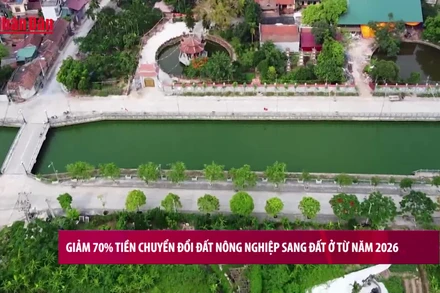 [Video] Giảm 70% tiền chuyển đổi đất nông nghiệp sang đất ở từ năm 2026