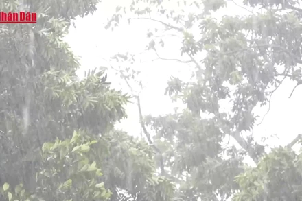 [Video] Cảnh báo lốc, sét và gió giật mạnh tại khu vực cao nguyên và Nam Bộ