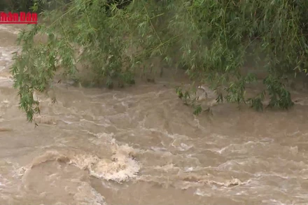 [Video] Trung Bộ đề phòng mưa lớn, lũ quét và sạt lở