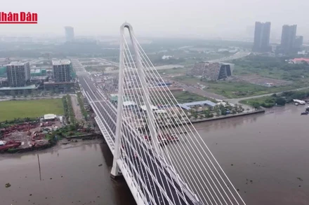 [Video] TP Hồ Chí Minh dự kiến tăng mạnh giá đất nông nghiệp