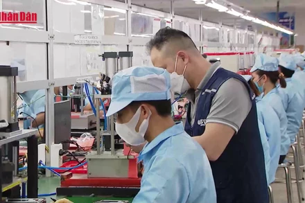 [Video] Nhiều địa phương công bố mức lương, thưởng Tết của doanh nghiệp 