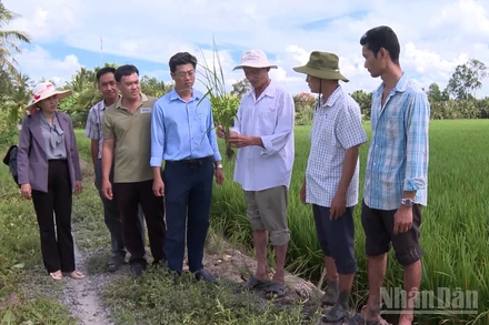 Tổ khuyến nông cộng đồng cùng nông dân trên con đường xây dựng nền nông nghiệp sinh thái, hiện đại, bền vững.