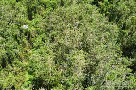 Khu du lịch sinh thái Mùa Xuân nhìn từ trên cao, với không gian xanh rộng lớn và hoang sơ.