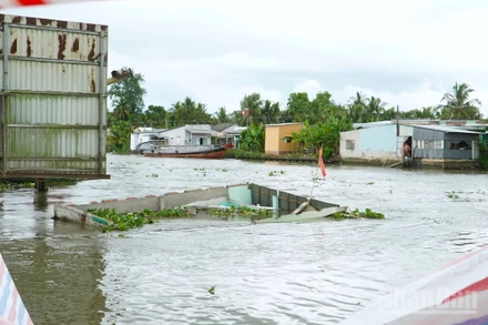 Một vụ sạt lở bờ sông trên địa bàn thành phố Cần Thơ.