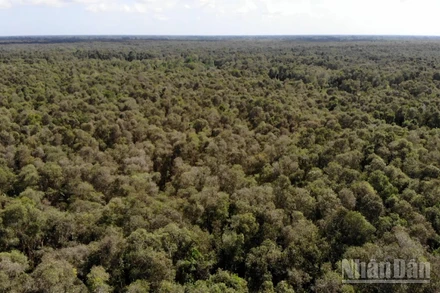 Khu bảo tồn thiên nhiên Lung Ngọc Hoàng nhìn từ trên cao