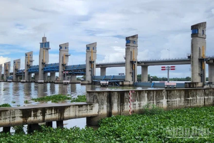 Cụm cống Cái Lớn, Cái Bé, Xẻo Rô được vận hành linh hoạt với tình hình thủy văn bất lợi gây ra.