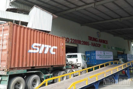 Hoạt động xuất khẩu của các doanh nghiệp tăng mạnh trong những tháng đầu năm 2025.