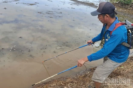 Một người dân dùng xung điện đánh bắt thủy sản tại phường Mỹ Phước Tây, tỉnh Đồng Tháp.