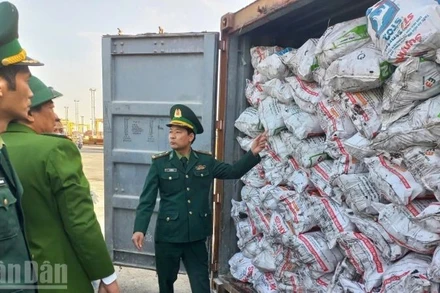 Bộ đội Biên phòng Hải Phòng thu giữ container chứa than cục không có giấy tờ chứng minh nguồn gốc hợp pháp.