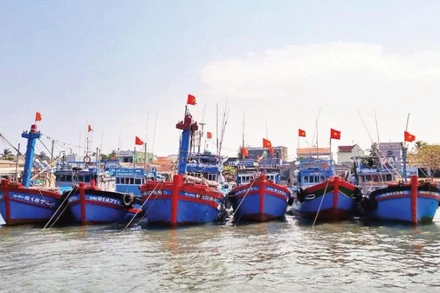 Tỉnh Quảng Ngãi tăng cường kiểm tra, kiểm soát các tàu cá ra vào cảng để chống đánh bắt IUU. (Ảnh: LƯU HƯƠNG)