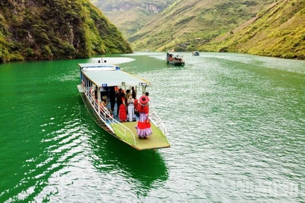 "Check-in" trên dòng Nho Quế biếc xanh.