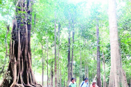 Du khách khám phá, trải nghiệm du lịch sinh thái tại Vườn quốc gia Chư Mom Ray.