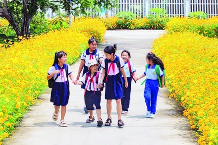 Đường hoa 521, ấp Bàu Chứa, xã Nhuận Đức rực rỡ sắc màu. (Ảnh VÕ LÊ)