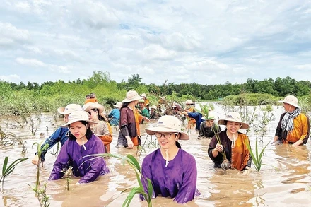 Người dân đầu tư, phát triển du lịch sinh thái bên cù lao Lá (ấp Tân Quý, xã Mỹ Chánh Hòa, tỉnh Vĩnh Long).