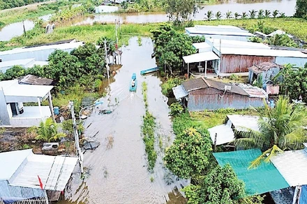 Một góc khu tái định cư Kênh Tư (ấp Lung Tràm, xã Khánh Hưng) bị ngập úng.