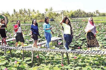 Mô hình farmstay kết hợp với không gian cắm trại, ẩm thực dân dã đã tạo nên sản phẩm du lịch mới mẻ cho Khánh Hòa.
