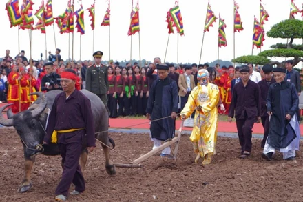 Ông Nguyễn Ngọc An vinh dự được “hóa thân” thành nhà vua thực hiện nghi thức cày ruộng đầu năm, khai mở lễ Tịch điền.
