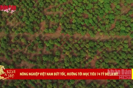 [Video] Nông nghiệp Việt Nam bứt tốc, hướng tới mục tiêu 74 tỷ Đô la Mỹ