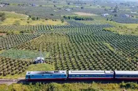 [Video] Đường sắt chủ động tăng tàu phục vụ Tết tuyến miền Trung