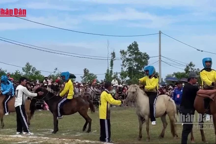 [Video] Sôi động hội đua ngựa gò Thì Thùng đầu Xuân Bính Ngọ