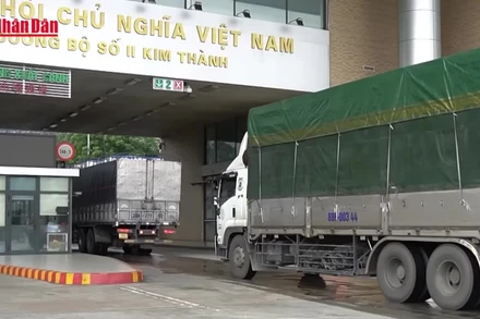 [Video] Khẩn trương hướng dẫn kiểm tra thực phẩm nhập khẩu, không để ách tắc