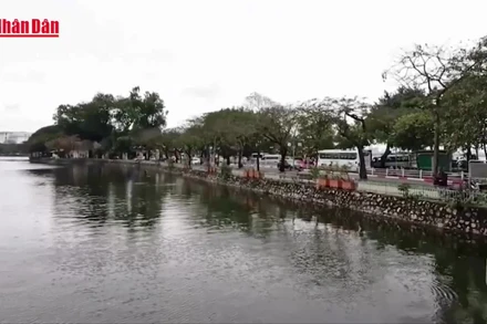 [Video] Miền Bắc mưa, rét từ ngày 7/2