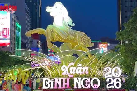 [Video] Đường hoa Nguyễn Huệ mở cửa đến mùng 6 Tết, đại cảnh giữ lại trưng bày đến 22/3