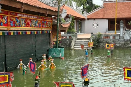 Những màn diễn của phường rối nước Đào Thục (xã Thư Lâm) là một trong những điểm nhấn của Festival.