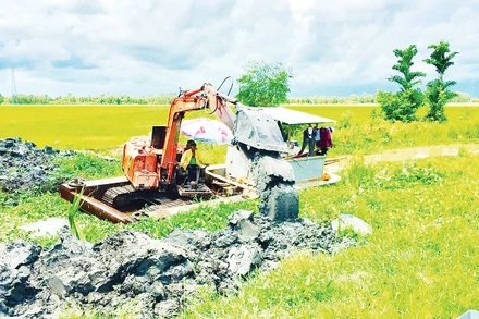 Người dân xã Mỹ Thuận, tỉnh An Giang gia cố đê bao bảo vệ sản xuất. Ảnh: Thùy Trang