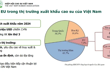 Vị thế EU trong thị trường xuất khẩu cao su Việt Nam.