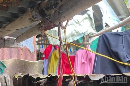 Sợi dây điện khiến 2 mẹ con ruột ở xã Hưng Thạnh, tỉnh Đồng Tháp tử vong.