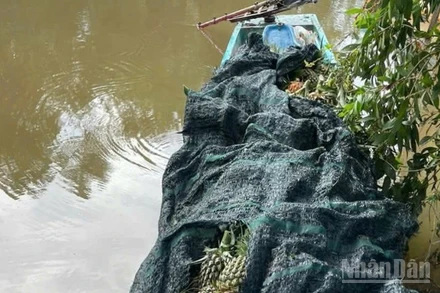 Tang vật tạm giữ của các đối tượng. (Ảnh: Công an cung cấp)