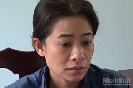 Đối tượng Nguyễn Thị Phương Thảo là kẻ cầm đầu trong vụ án.