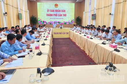 Quang cảnh buổi làm việc