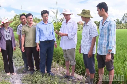 Khoa học và công nghệ giúp nâng cao năng suất, hướng đến nền nông nghiệp xanh và thích ứng với khí hậu.