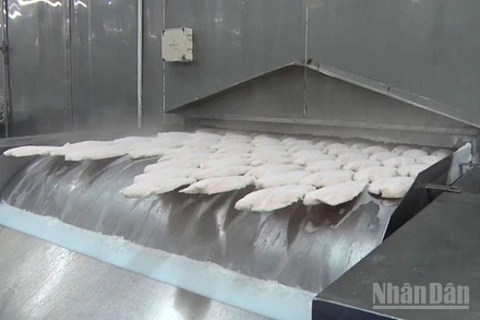 Sản phẩm thủy sản được đông lạnh để xuất khẩu.
