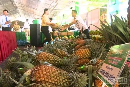 Khóm Cầu Đúc được trưng bày tại các Hội nghị, hội thảo trên địa bàn thành phố Cần Thơ và các tỉnh lân cận