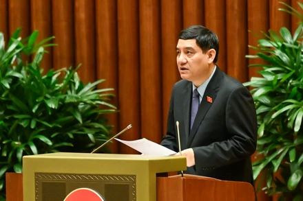 Nghiên cứu hỗ trợ tài chính nhóm phụ nữ sinh đủ 2 con trước 35 tuổi ở mức cao hơn