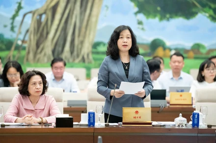 Cần chính sách dài hạn, căn cơ để duy trì mức sinh thay thế