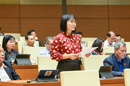 Cần một chương trình truyền thông quốc gia về hiểu đúng và hành động vì thị trường carbon