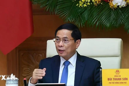 Phó Thủ tướng Bùi Thanh Sơn phát biểu tại buổi tiếp các chuyên gia, nhà khoa học. (Ảnh: TTXVN)