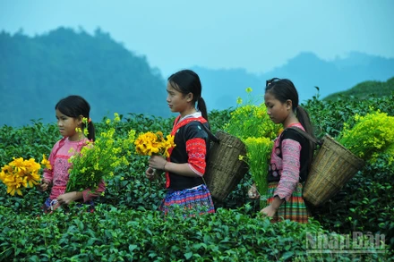 Những em bé người dân tộc ở Mộc Châu là những sứ giả truyền tải nét văn hóa đặc sắc của đồng bào mình đến với du khách. (Ảnh: THẾ DƯƠNG)