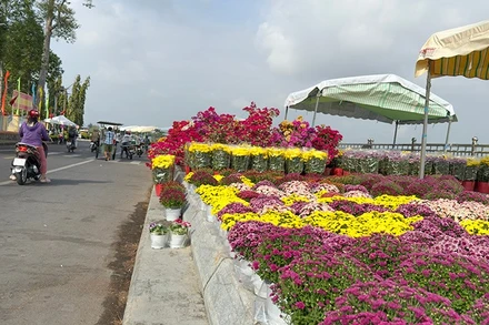 Rực rỡ sắc màu chợ hoa xuân Vĩnh Long