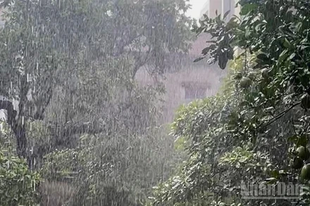 Dự báo Bắc Bộ có mưa rào và dông. (Ảnh minh họa: Đ.T)