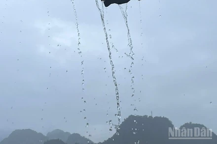 (Ảnh minh họa: Đ.T)