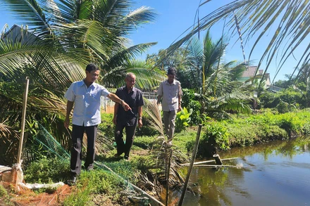 Ông Năm Dậu (giữa) cùng cán bộ địa phương đến tận nơi tìm hiểu, giải quyết ổn thỏa mâu thuẫn trong tranh chấp đất của hai hộ dân.