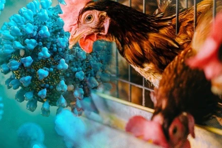 (Ảnh minh họa: VNA)