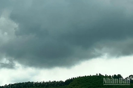 Dự báo Bắc Bộ có mưa rào và dông rải rác, cục bộ có nơi mưa to. (Ảnh minh họa: Đ.T)