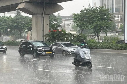 Dự báo một số nơi khu vực Bắc Bộ có mưa rào và dông. (Ảnh minh họa: Đ.T)