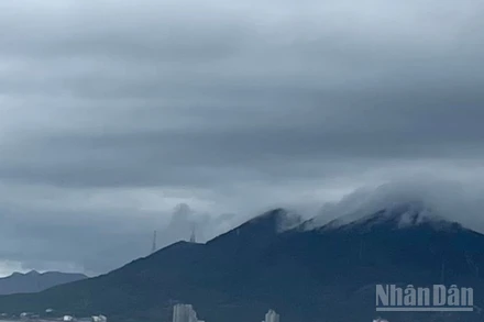 Dự báo khu vực Bắc Bộ có mưa rào và dông. (Ảnh minh họa: Đ.T)